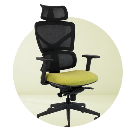 Collection image for: Curva Black