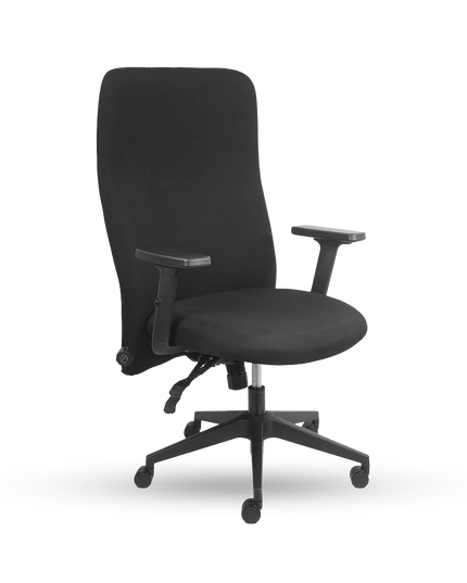 LUMBAR PRO High-Back Chair