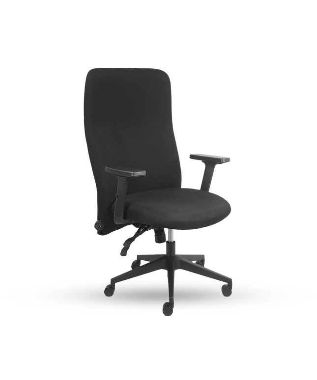 LUMBAR PRO High-Back Chair