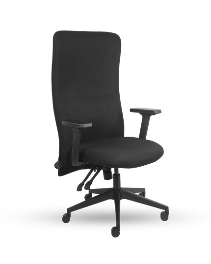 LUMBAR PRO Extra High-Back Chair